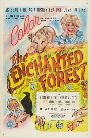 The Enchanted Forest - Movie Poster (thumbnail)