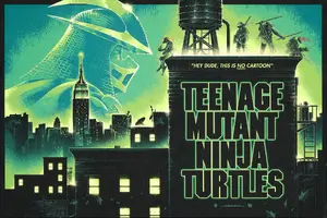 Teenage Mutant Ninja Turtles Custom
