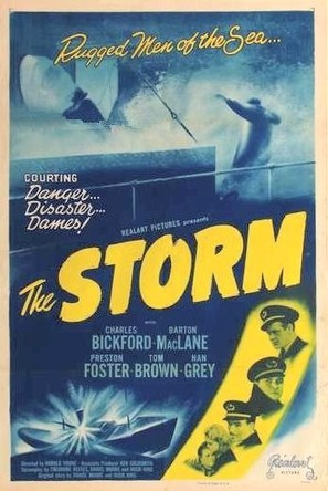 The Storm - Movie Poster (thumbnail)