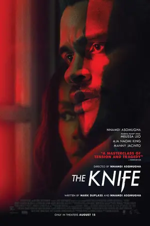 The Knife Poster