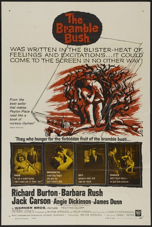 The Bramble Bush - Movie Poster (thumbnail)