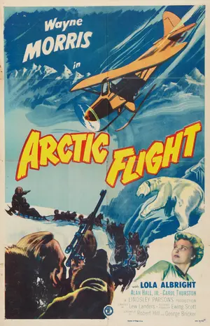 Arctic Flight Poster
