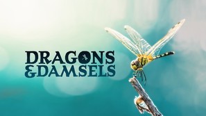 Dragons &amp; Damsels - Movie Poster (thumbnail)