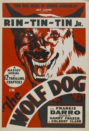 The Wolf Dog - Movie Poster (thumbnail)