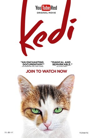 Kedi - Movie Poster (thumbnail)