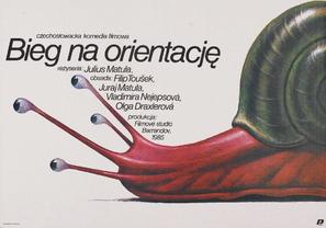 Blouden&iacute; orientacn&iacute;ho bezce - Polish Movie Poster (thumbnail)