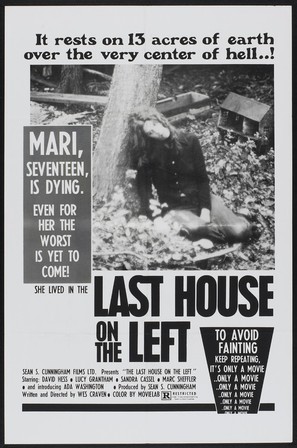 The Last House on the Left - Movie Poster (thumbnail)