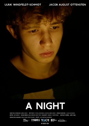 En nat - Danish Movie Poster (thumbnail)