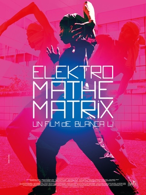 Elektro Mathematrix - French Movie Poster (thumbnail)
