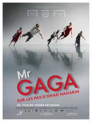 Mr. Gaga - French Movie Poster (thumbnail)