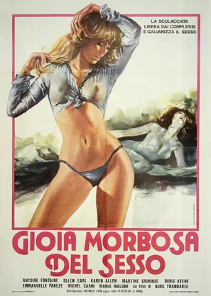 La fess&eacute;e ou Les m&eacute;moires de monsieur L&eacute;on ma&icirc;tre-fesseur - Italian Movie Poster (thumbnail)