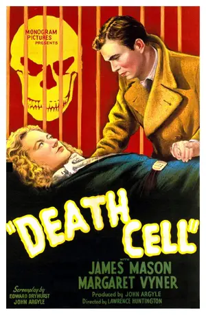 The Patient Vanishes Poster