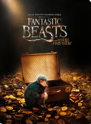 Fantastic Beasts and Where to Find Them - Movie Cover (thumbnail)