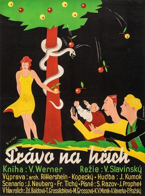Pr&aacute;vo na hr&iacute;ch - Czech Movie Poster (thumbnail)