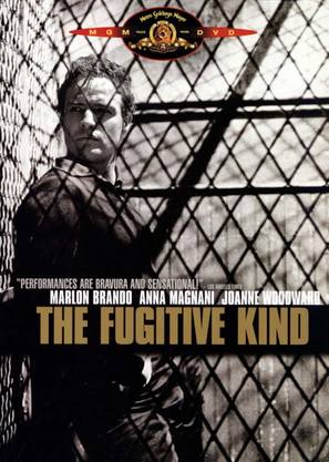 The Fugitive Kind - DVD movie cover (thumbnail)
