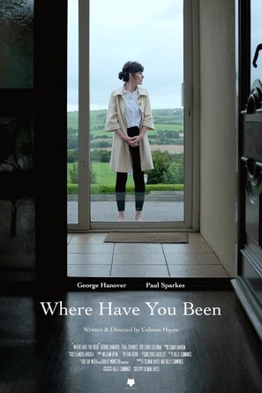 Where Have You Been - Irish Movie Poster (thumbnail)