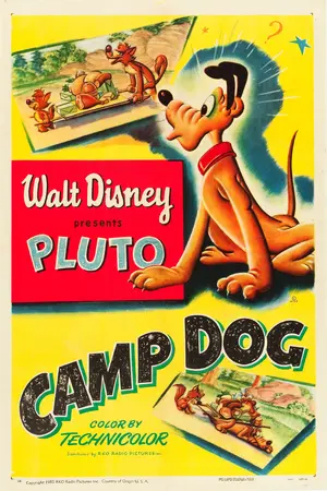 Camp Dog Poster