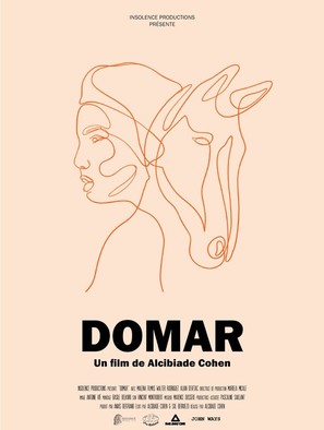 Domar - French Movie Poster (thumbnail)