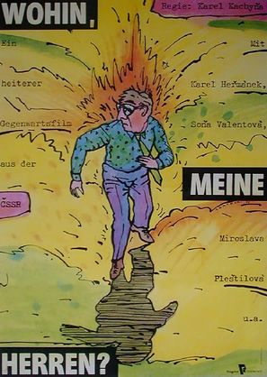 Kam, p&aacute;nov&eacute;, kam jdete? - German Movie Poster (thumbnail)