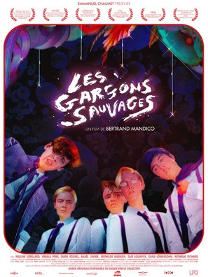 Les gar&ccedil;ons sauvages - French Movie Poster (thumbnail)