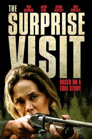 The Surprise Visit - Movie Poster (thumbnail)