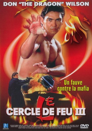 Lion Strike - French DVD movie cover (thumbnail)