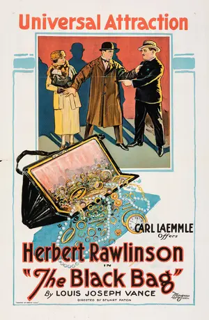 The Black Bag Poster