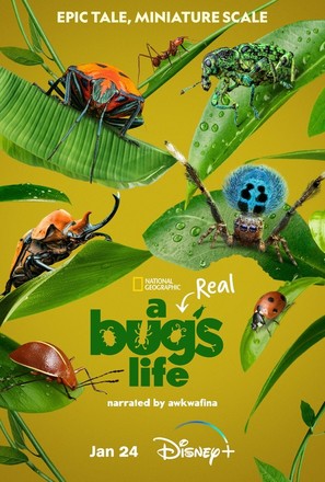 &quot;A Real Bug&#039;s Life&quot; - Movie Poster (thumbnail)
