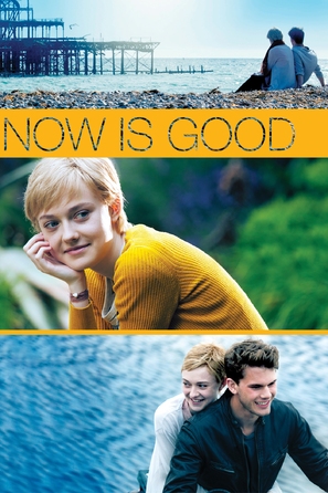 Now Is Good - DVD movie cover (thumbnail)