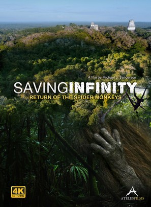 Saving Infinity: Return of the Spider Monkeys - Dutch Movie Poster (thumbnail)