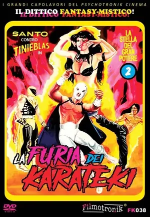 La furia de los karatecas Cover