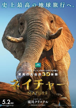 Enchanted Kingdom 3D - Japanese Movie Poster (thumbnail)
