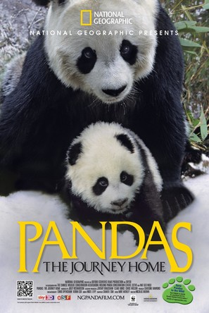 Pandas: The Journey Home - Movie Poster (thumbnail)