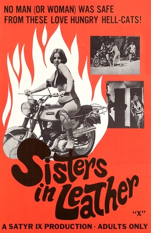 Sisters in Leather - Movie Poster (thumbnail)