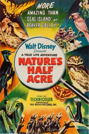 Nature's Half Acre Poster