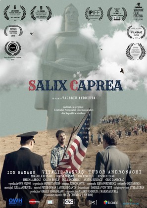 Salix Caprea - International Movie Poster (thumbnail)