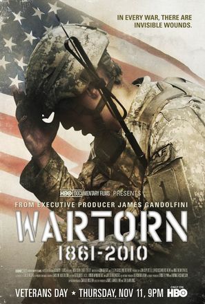 Wartorn: 1861-2010 - Movie Poster (thumbnail)