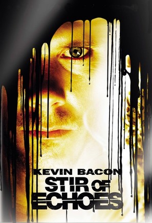 Stir of Echoes - DVD movie cover (thumbnail)