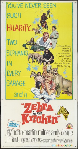 Zebra in the Kitchen - Movie Poster (thumbnail)