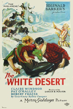 The White Desert - Movie Poster (thumbnail)
