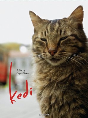 Kedi - DVD movie cover (thumbnail)