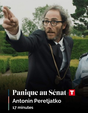 Panique au S&eacute;nat - French Movie Poster (thumbnail)