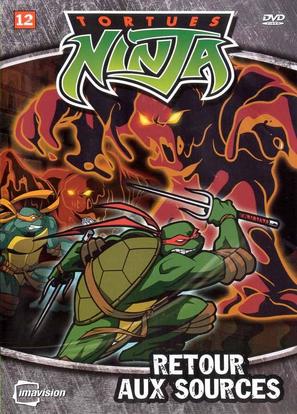 &quot;Teenage Mutant Ninja Turtles&quot; - French DVD movie cover (thumbnail)