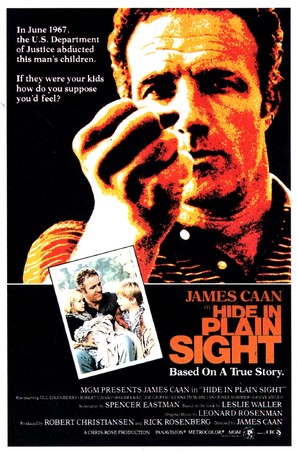 Hide in Plain Sight - Movie Poster (thumbnail)