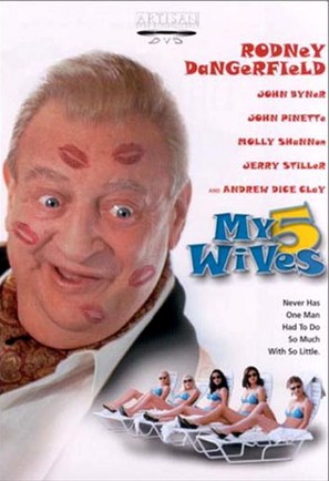 My 5 Wives - DVD movie cover (thumbnail)