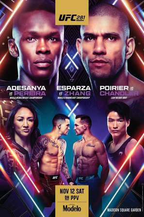 UFC 281: Adesanya vs. Pereira - Movie Poster (thumbnail)