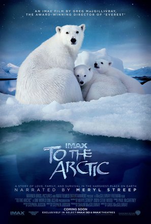 To the Arctic 3D - Movie Poster (thumbnail)