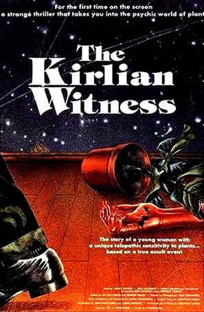 The Kirlian Witness - Movie Poster (thumbnail)