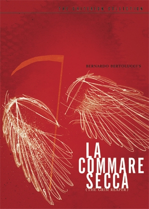 La commare secca - DVD movie cover (thumbnail)