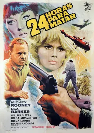 Twenty-Four Hours to Kill Poster